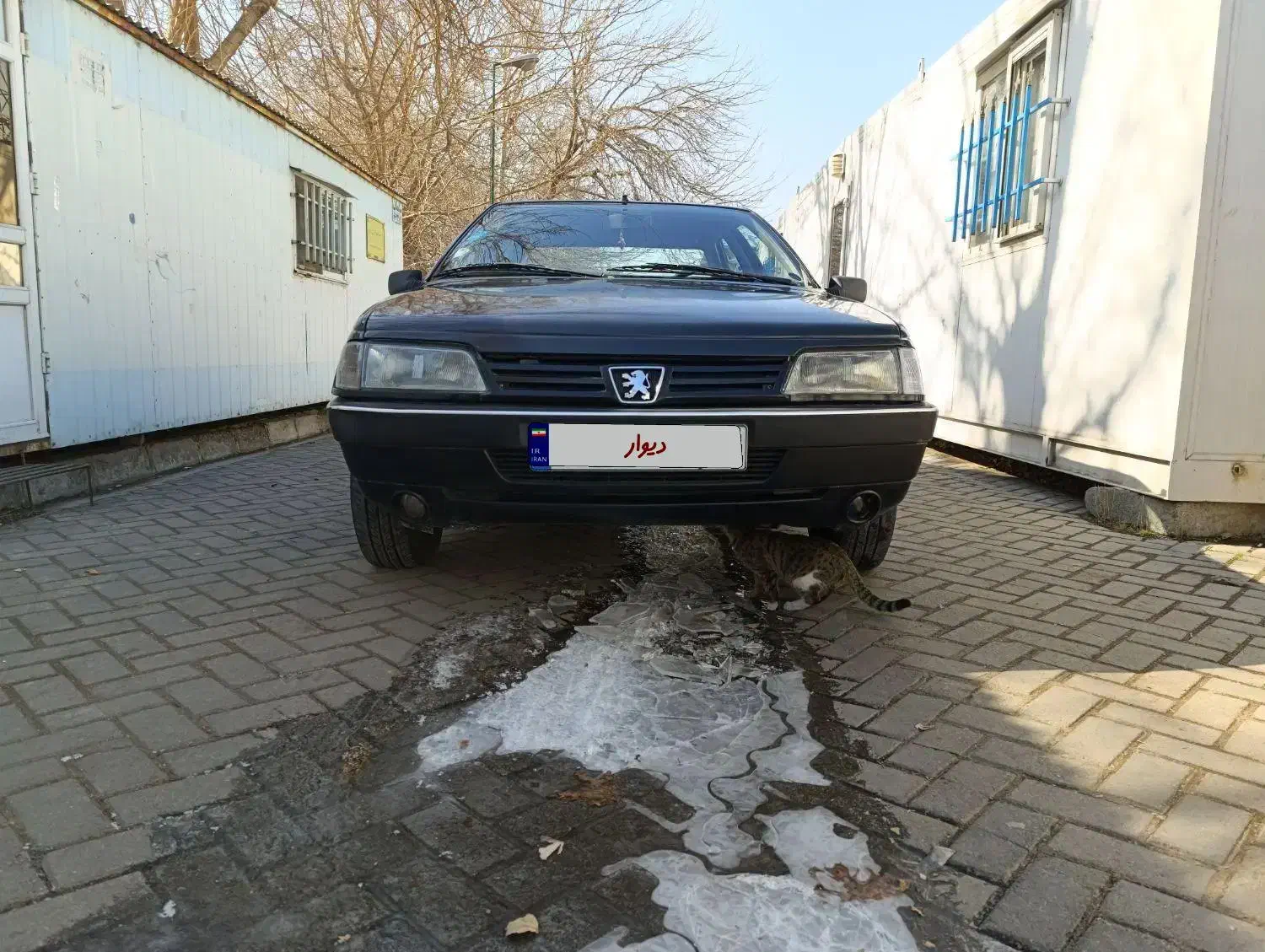 پژو روآ مدل ۸۵|خودرو سواری و وانت|تهران, تهرانپارس غربی|دیوار