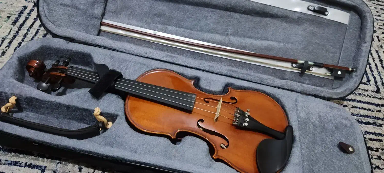 ویالون|ویولن|رامیان, |دیوار