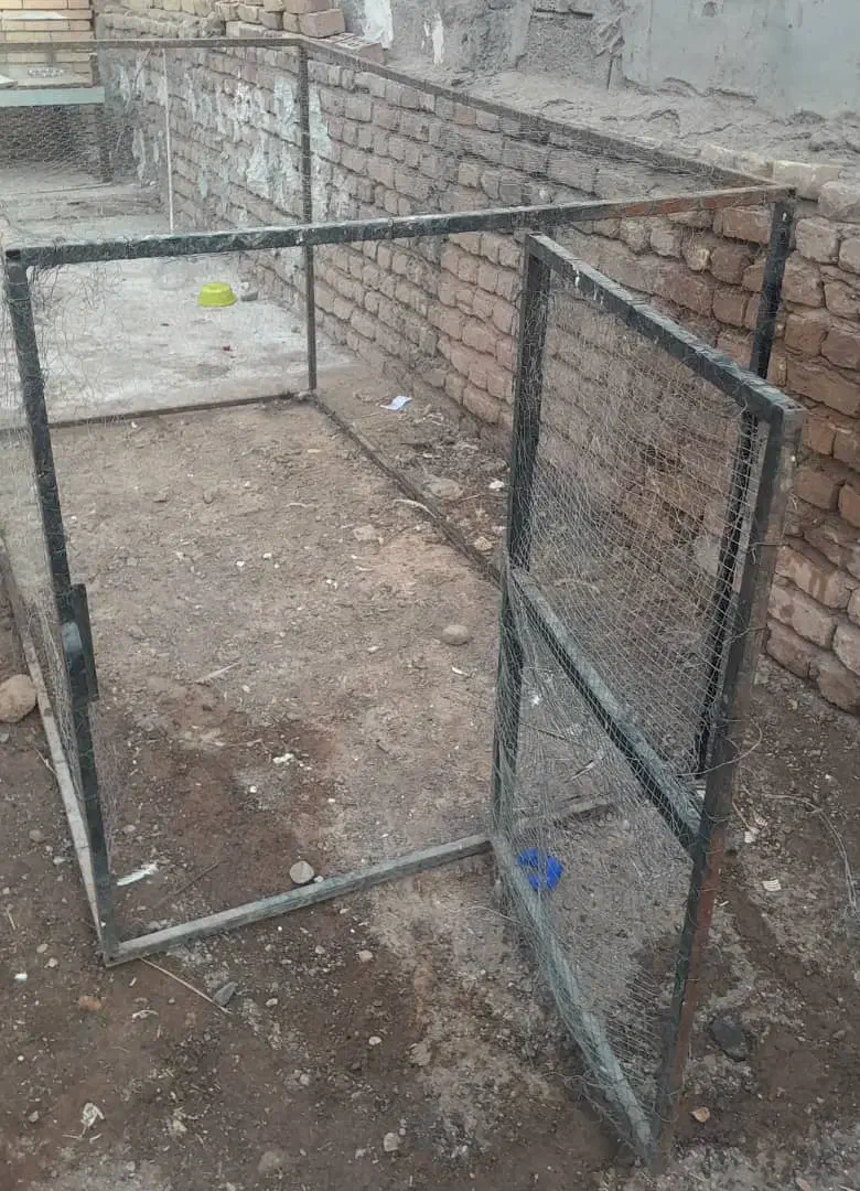 قفس|لوازم جانبی حیوانات|رفسنجان, |دیوار