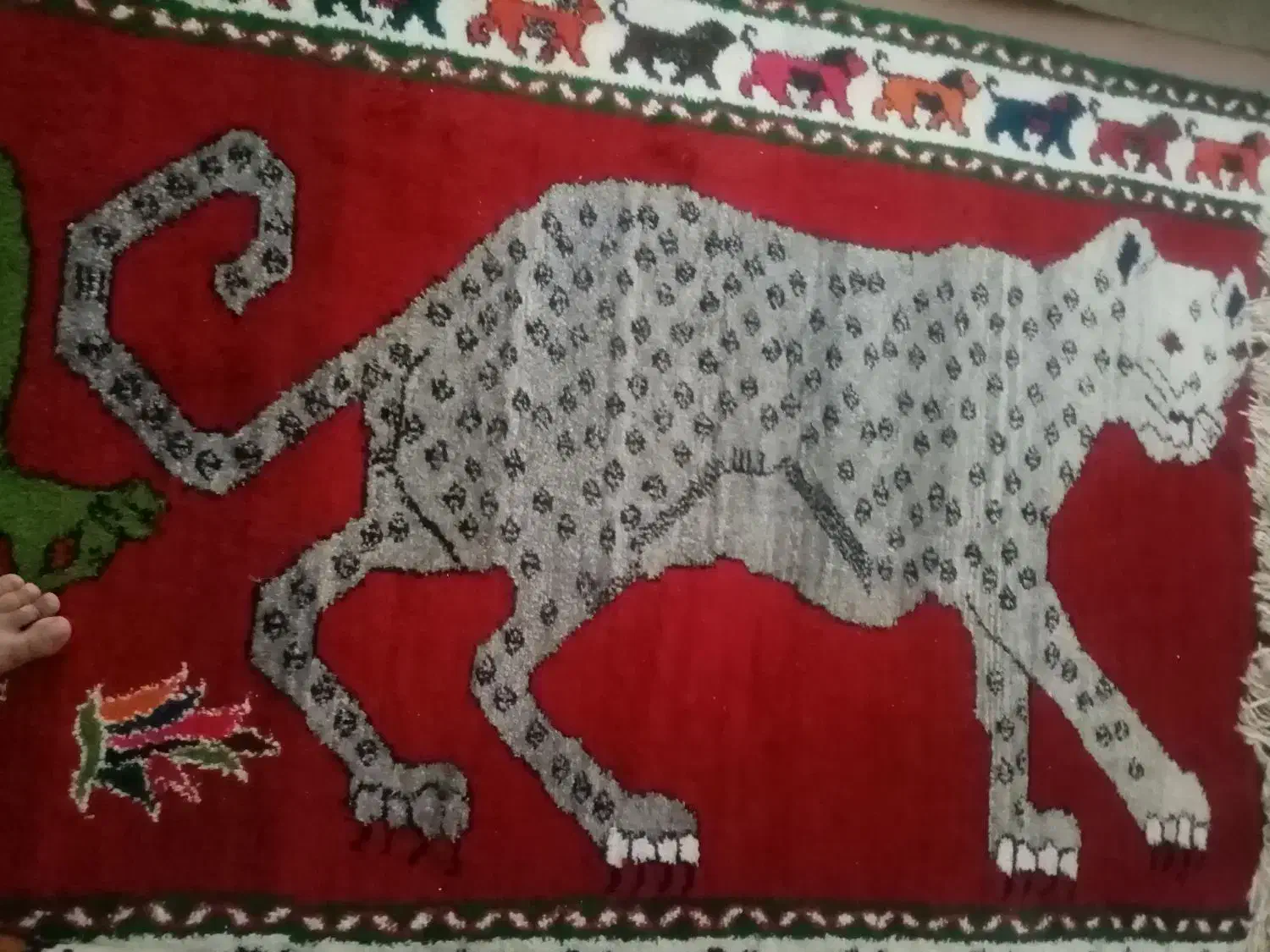 گبه|گلیم، جاجیم، گبه|شهرضا, |دیوار