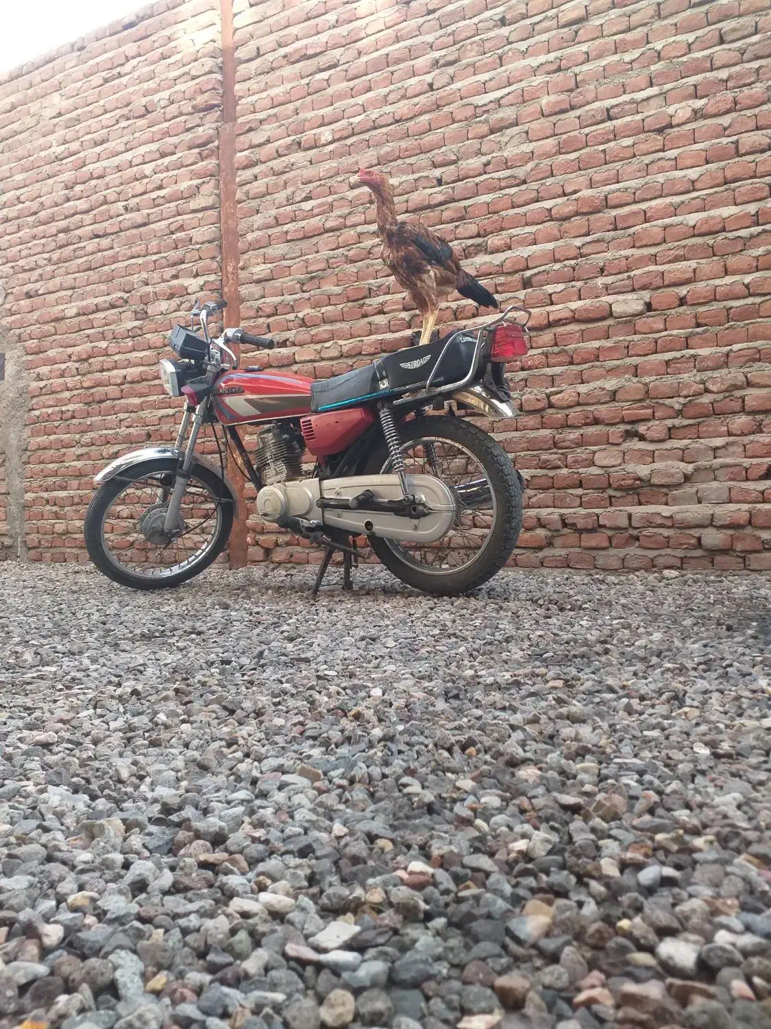 موتور|موتورسیکلت|بناب, |دیوار