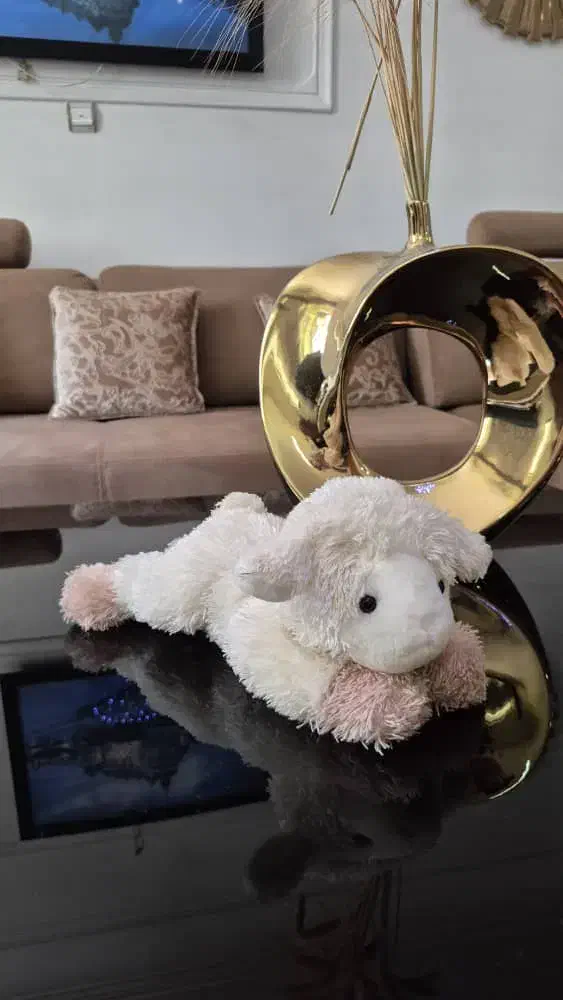 عروسک|اسباب‌بازی بچه|رشت, رودبارتان|دیوار