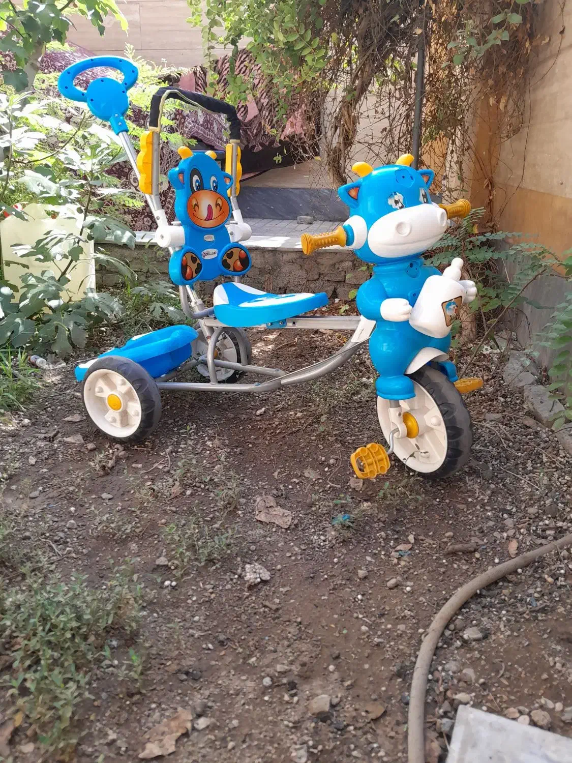 ۳ چرخه مدل دلیجان|دوچرخه، اسکیت، اسکوتر|تهران, حکیمیه|دیوار