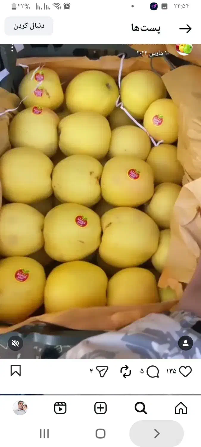 خرید سیب روی درخت|خدمات باغبانی و درختکاری|اهر, |دیوار