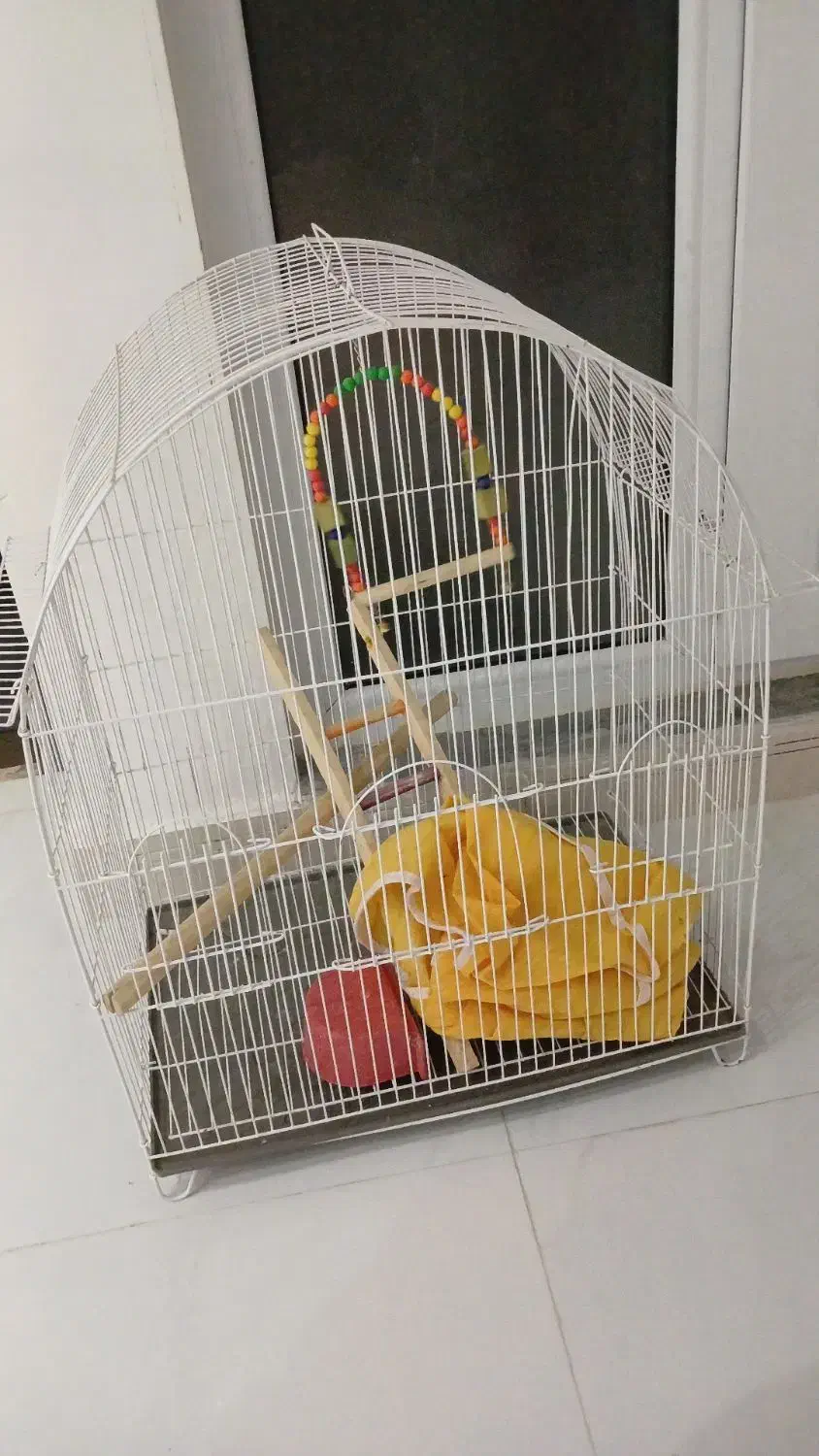 سالم|لوازم جانبی حیوانات|قروه, |دیوار