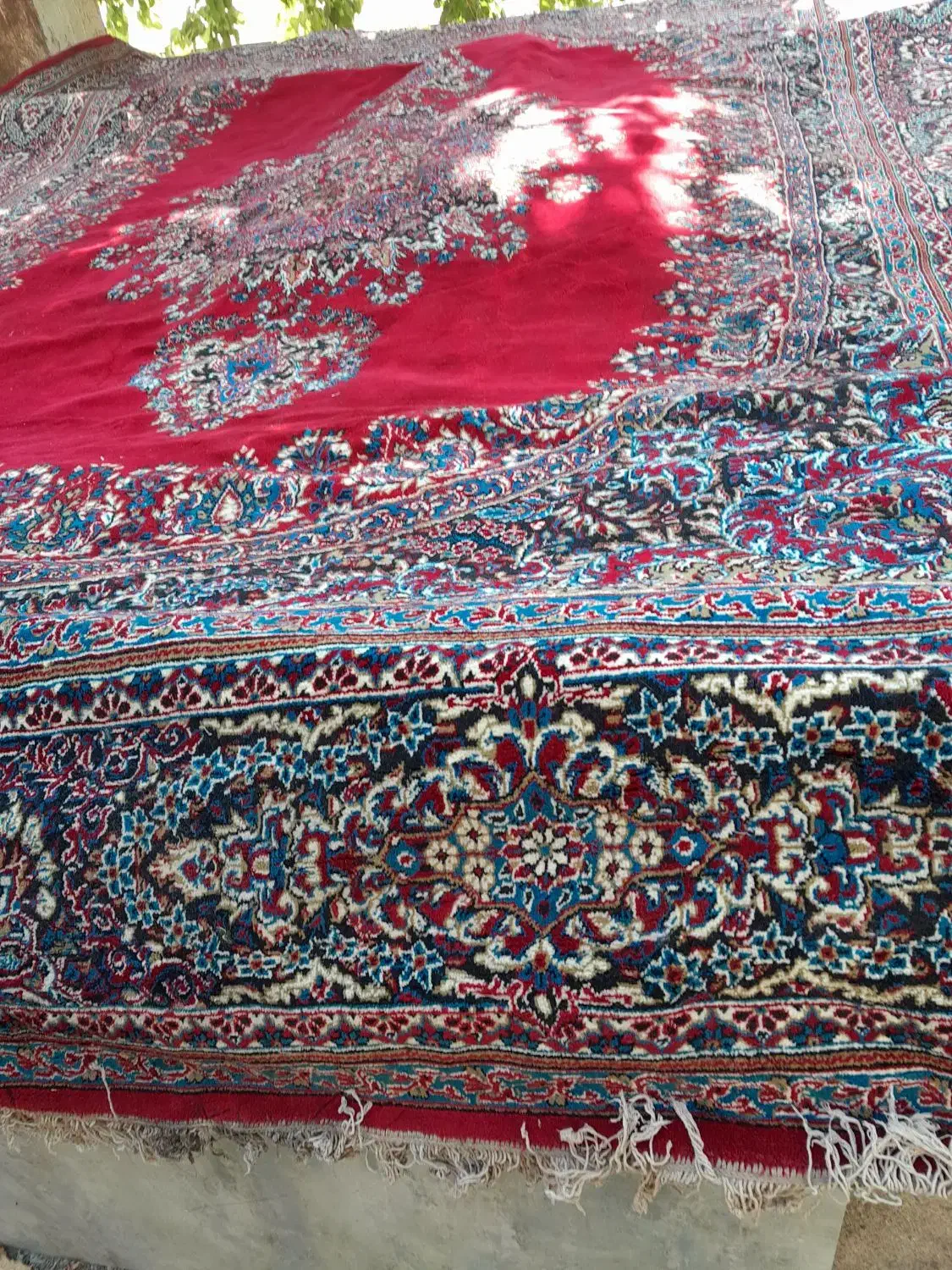 فرش|فرش|طرقبه, |دیوار