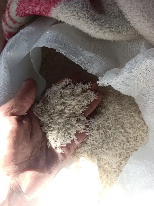 برنج ندا|خوردنی و آشامیدنی|مزرعه کتول, |دیوار