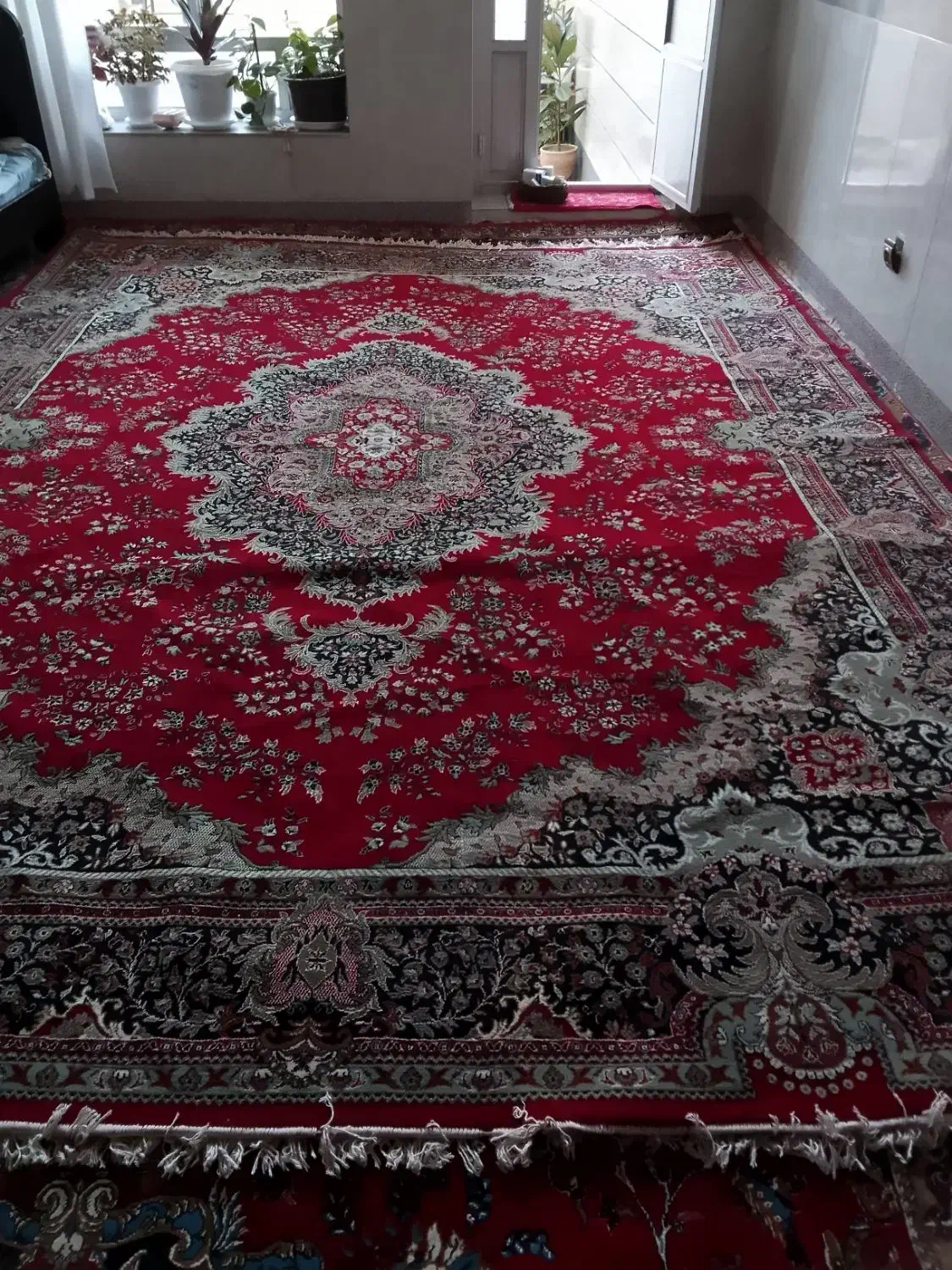 فرش ۱۲ متری|فرش|مرند, |دیوار