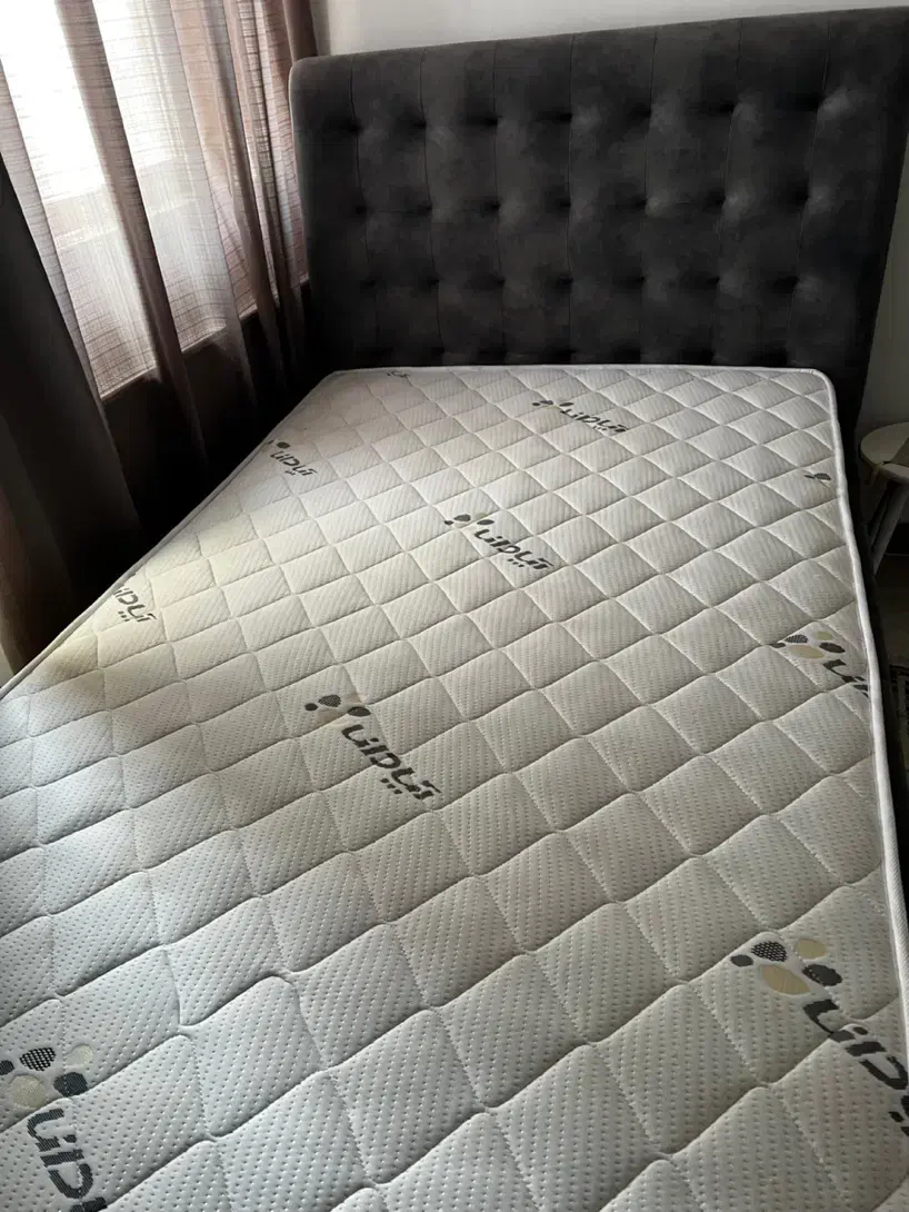 تخت نوجوان|تخت و سرویس خواب|رشت, پستک|دیوار