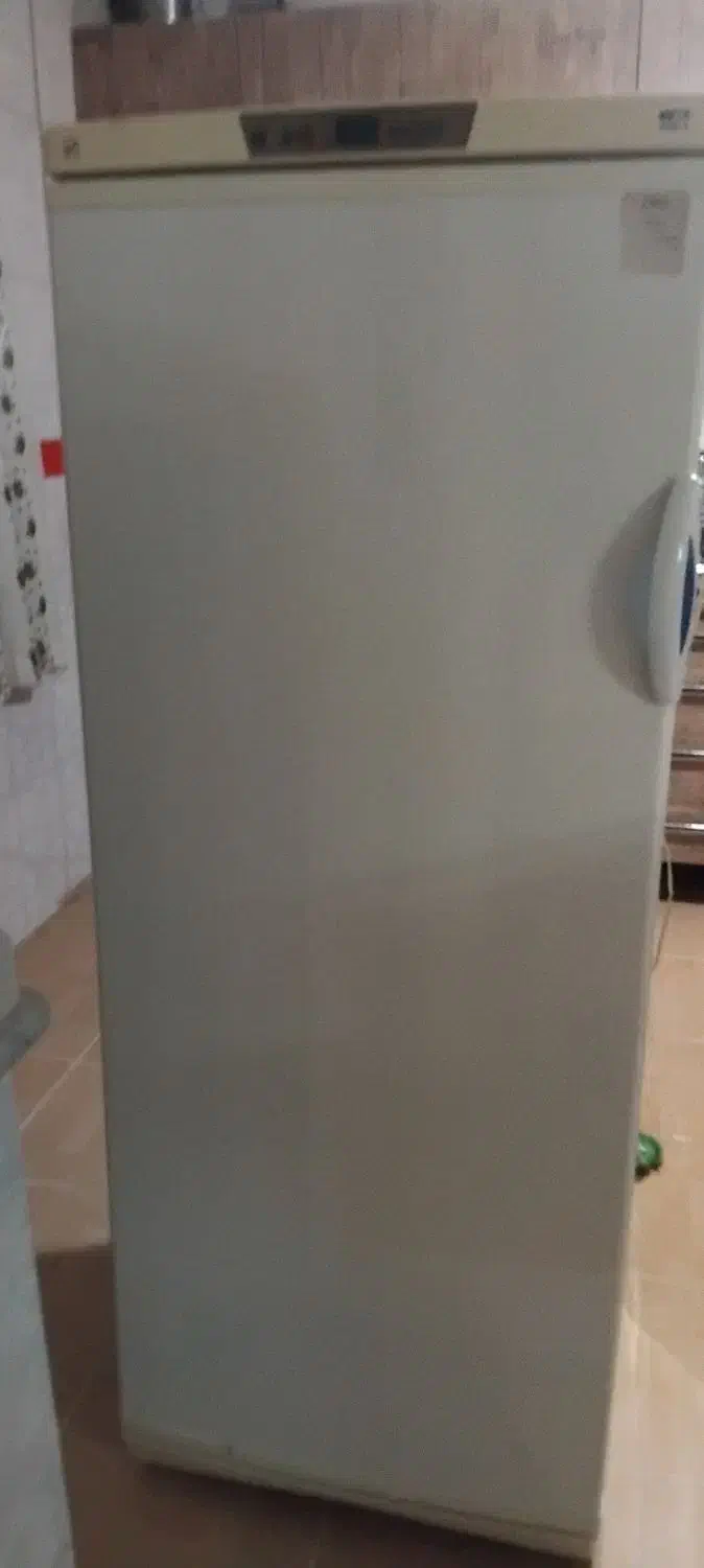 یخچال فریزر ارج|یخچال و فریزر|اقبالیه, |دیوار