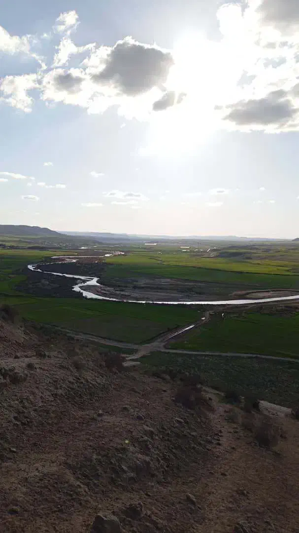 زمین اجاره یا شرکت در کاشت|اجارهٔ دفتر صنعتی، کشاورزی، تجاری|کرانی, |دیوار