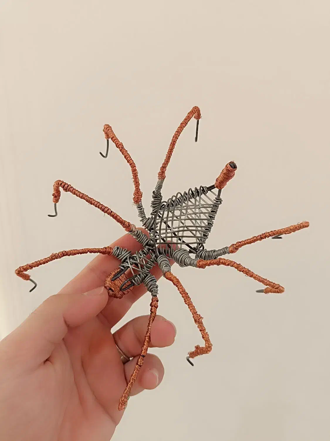 مجسمه سیمی رتیل|صنایع دستی و سایر لوازم تزئینی|محمدشهر, ولدآباد|دیوار