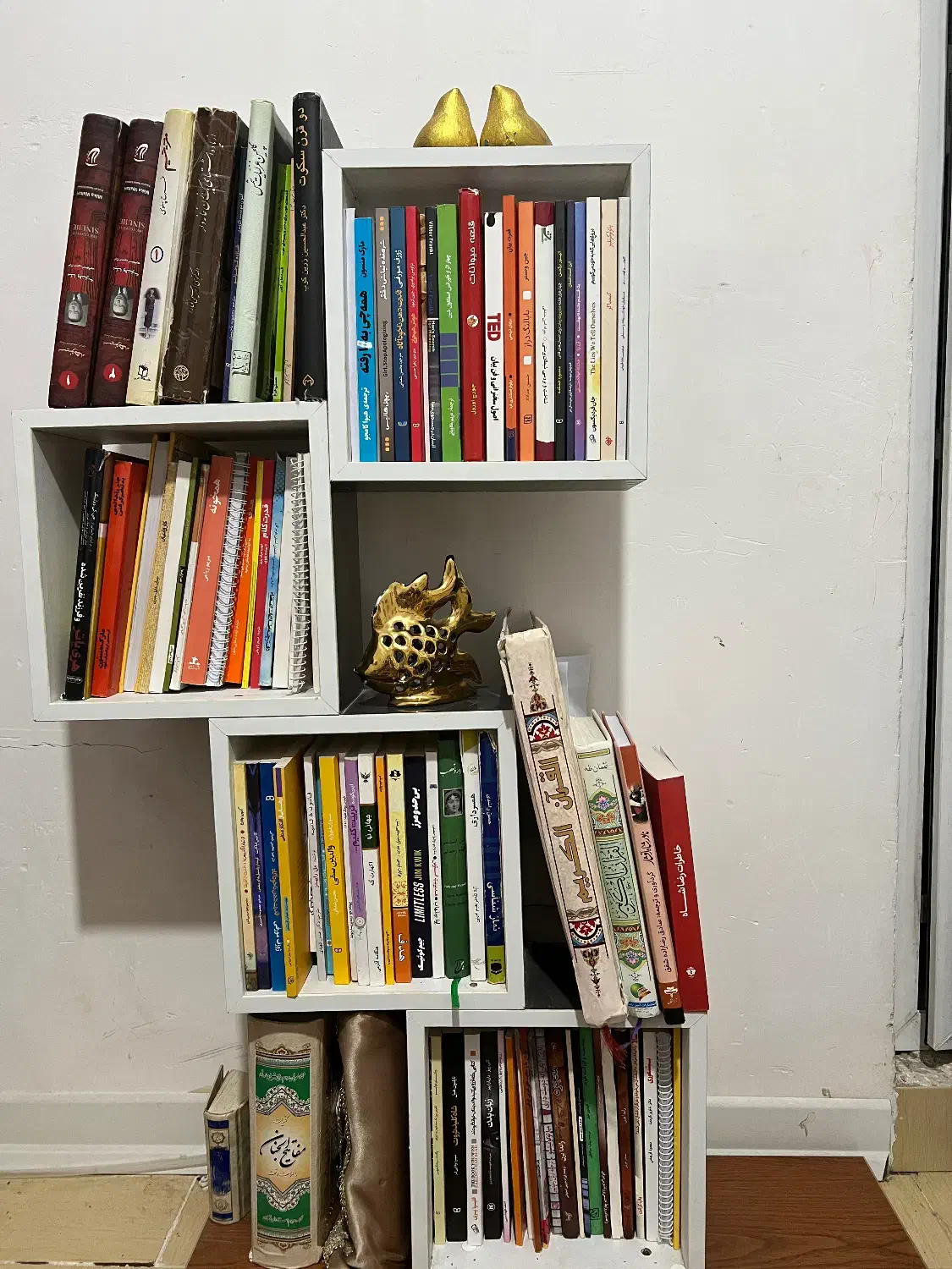 کتابخانه وتاح تخت|کتابخانه، شلف، قفسه‌های دیواری|بندرعباس, |دیوار