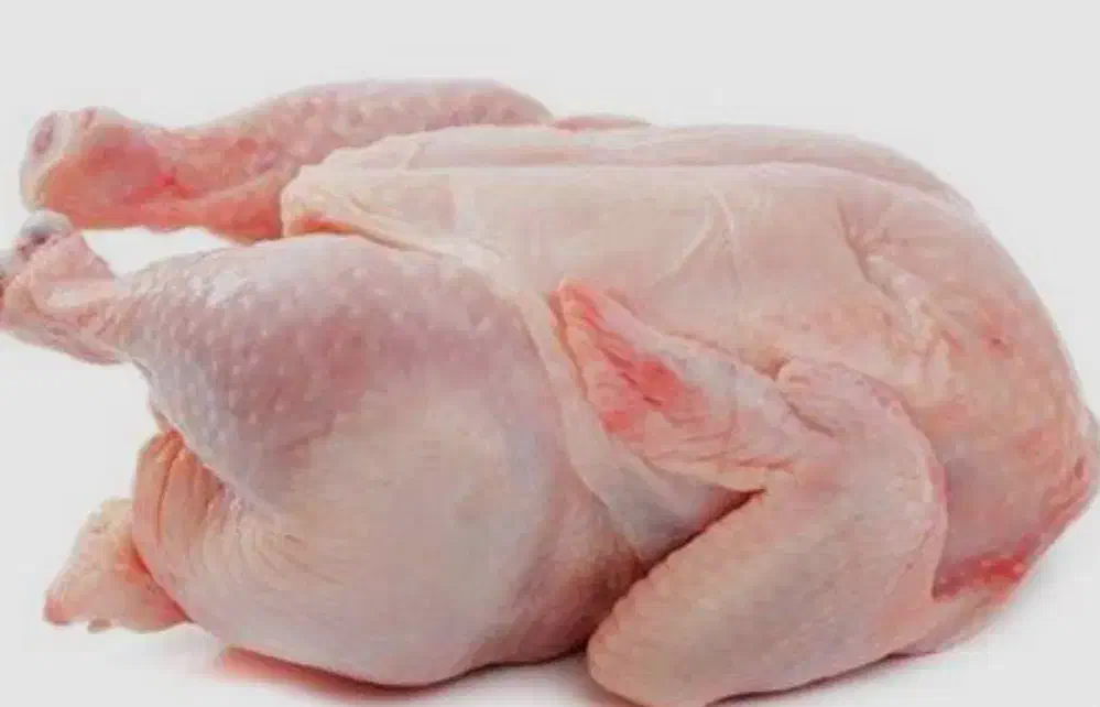 پخش مرغ و فرآورده های پروتئینی|عمده‌فروشی|اهر, |دیوار