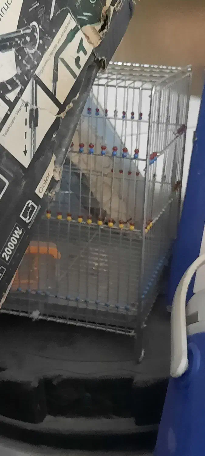 قفس سره|لوازم جانبی حیوانات|اصفهان, سرچشمه|دیوار