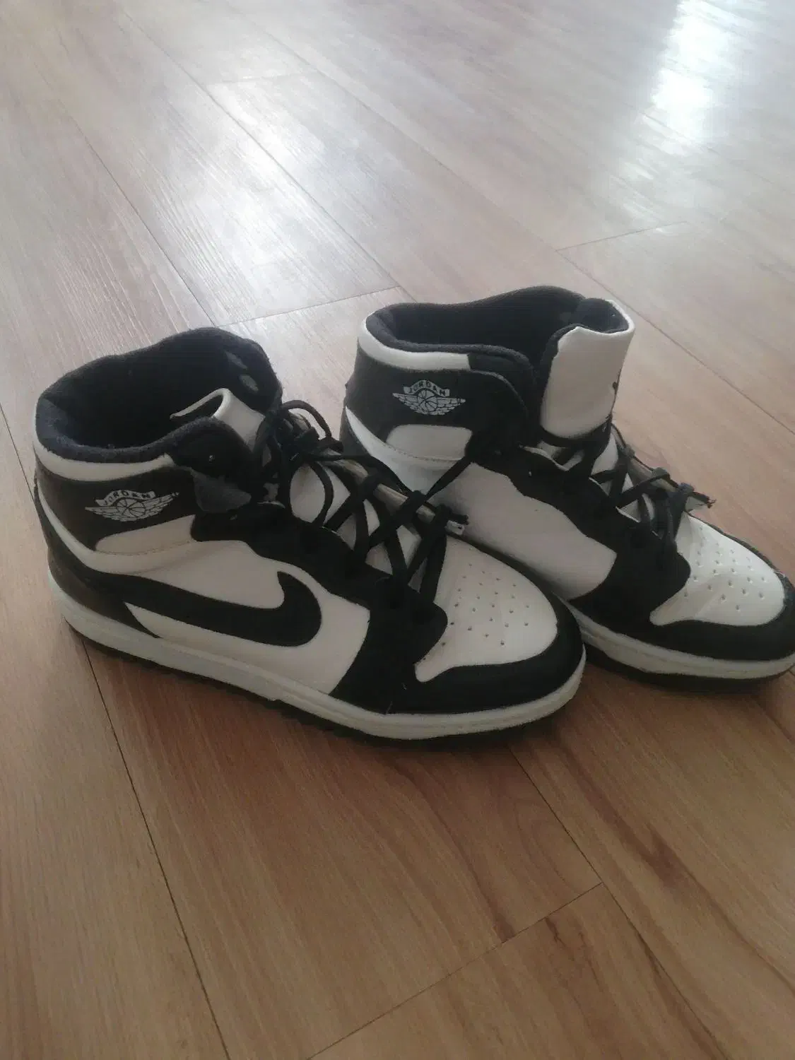 نیم پوت|کیف، کفش، کمربند|شیروان (خراسان), |دیوار