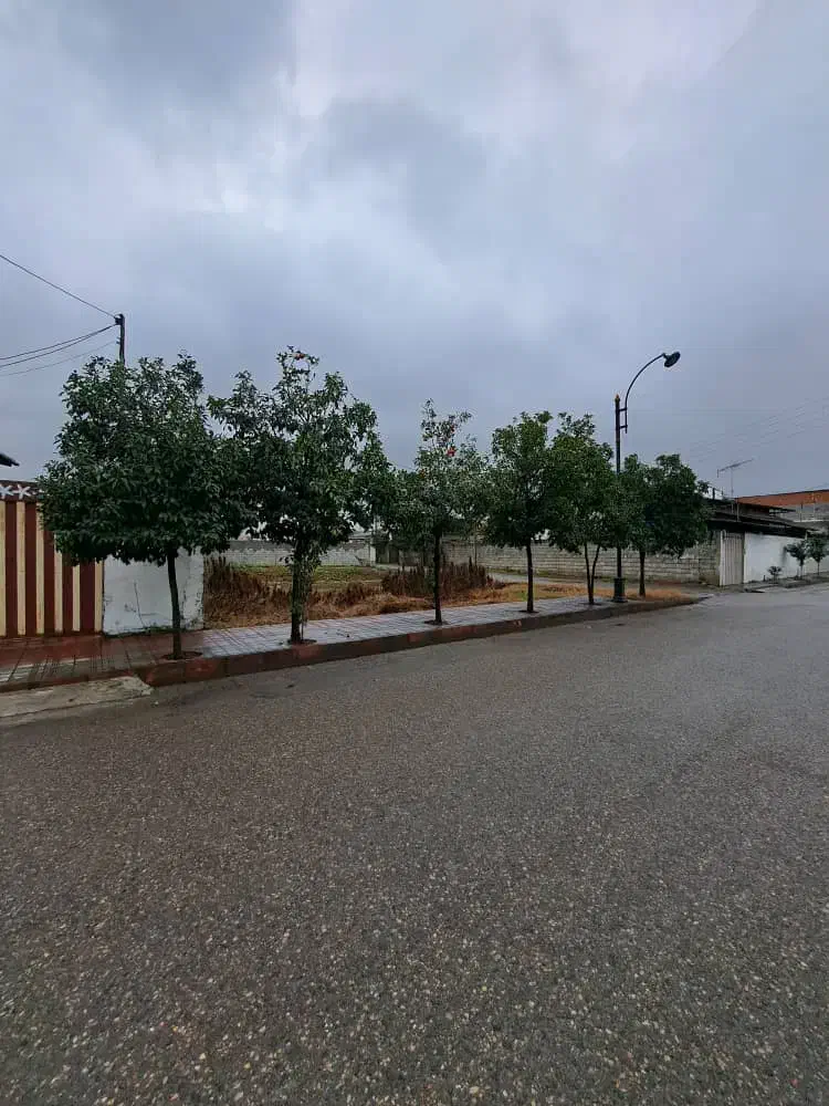 فروش زمین45Mمحدوده کمربندی|فروش زمین و ملک کلنگی|امیرکلا, |دیوار