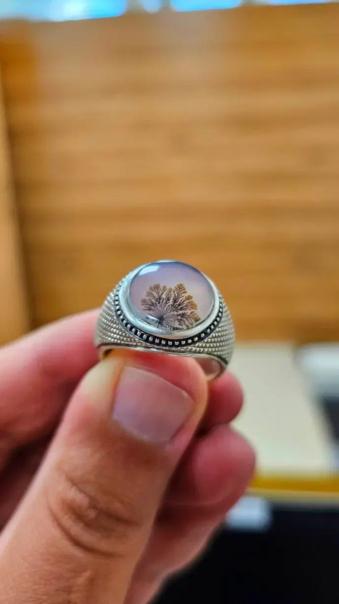 انگشتر فوق کلکسیونی شجر قائن|جواهرات|تهران, آرژانتین|دیوار