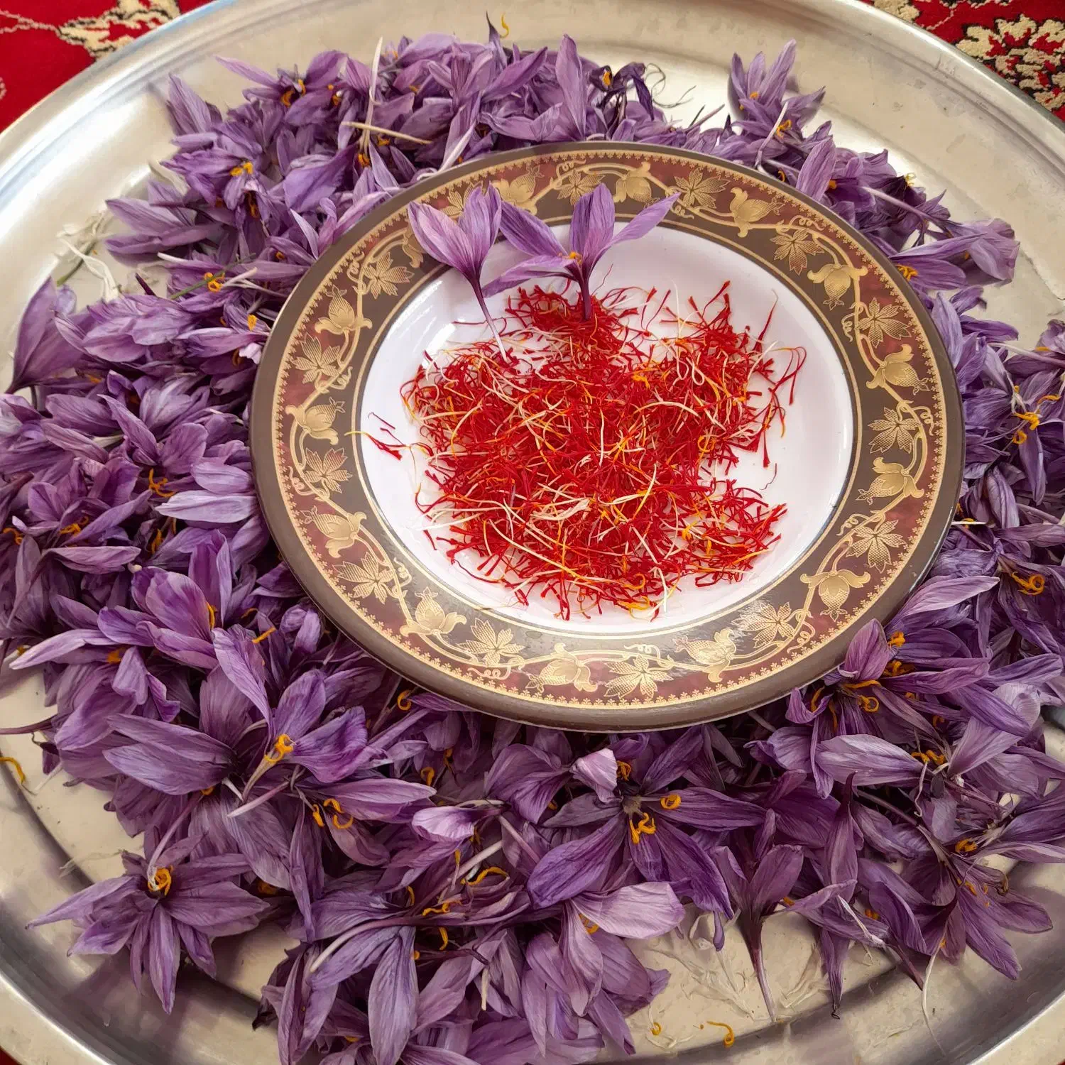 باغ هزار متری انجیر|فروش زمین و ملک کلنگی|شیراز, داریون|دیوار