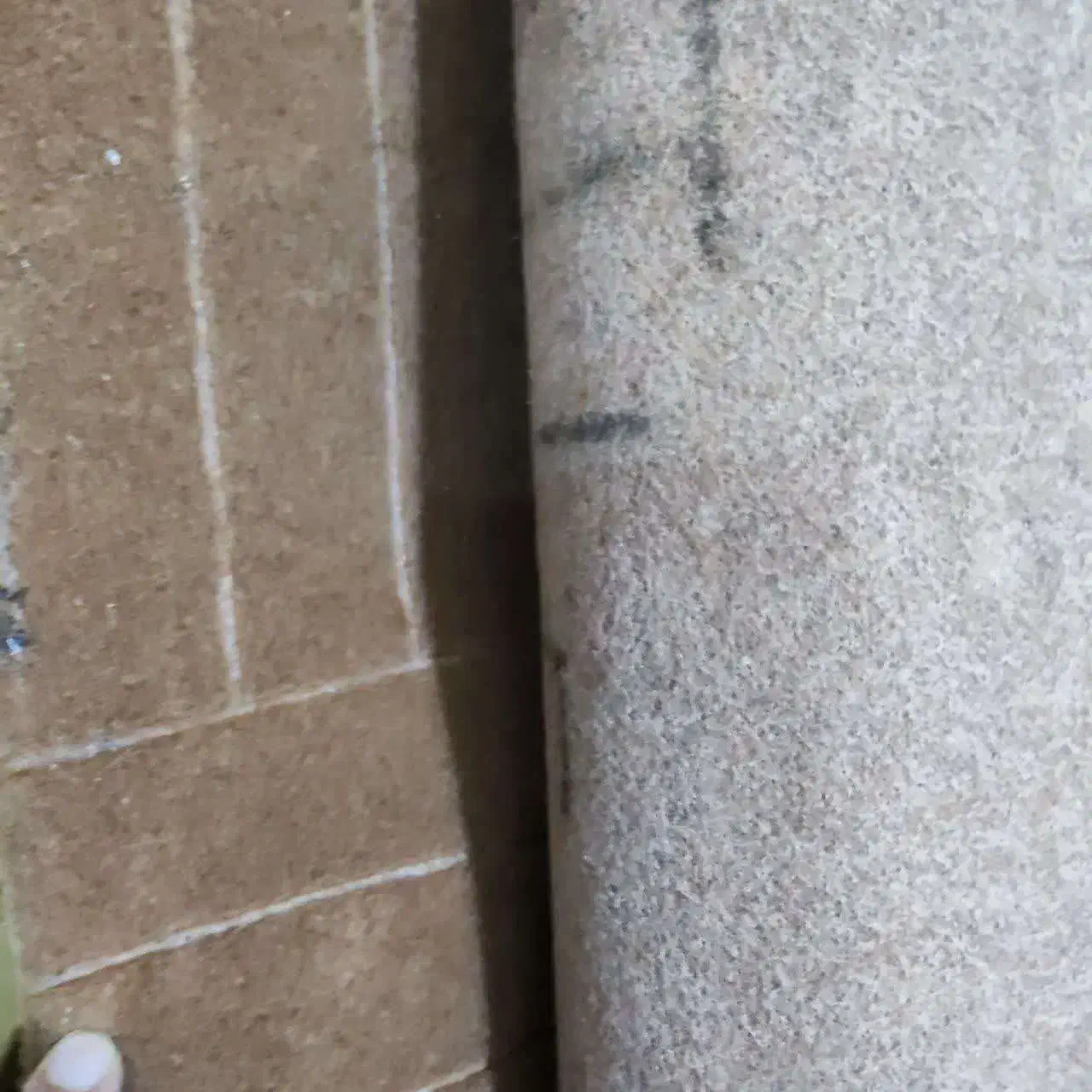 موکت درحد نو|موکت|قم, شهید رجایی|دیوار