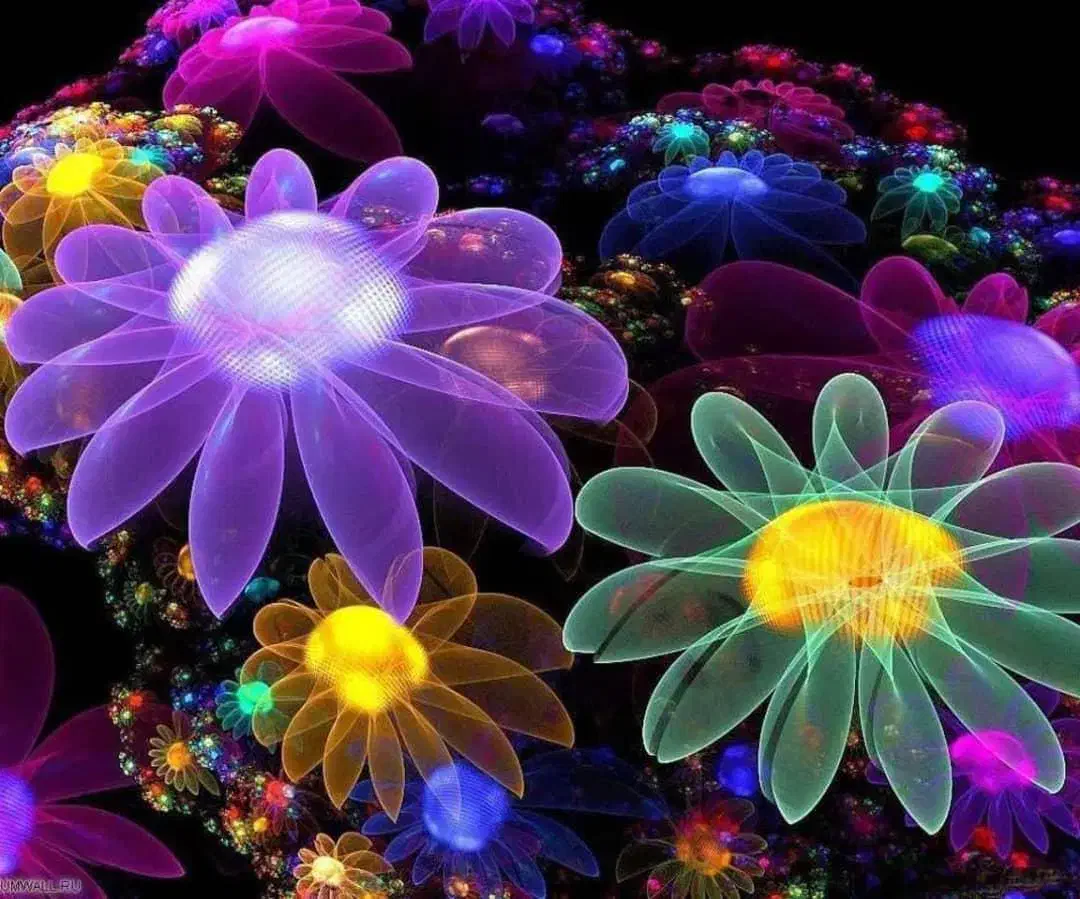 حدودا دویست عدد سیدی مجاز|فیلم و موسیقی|صحنه, |دیوار