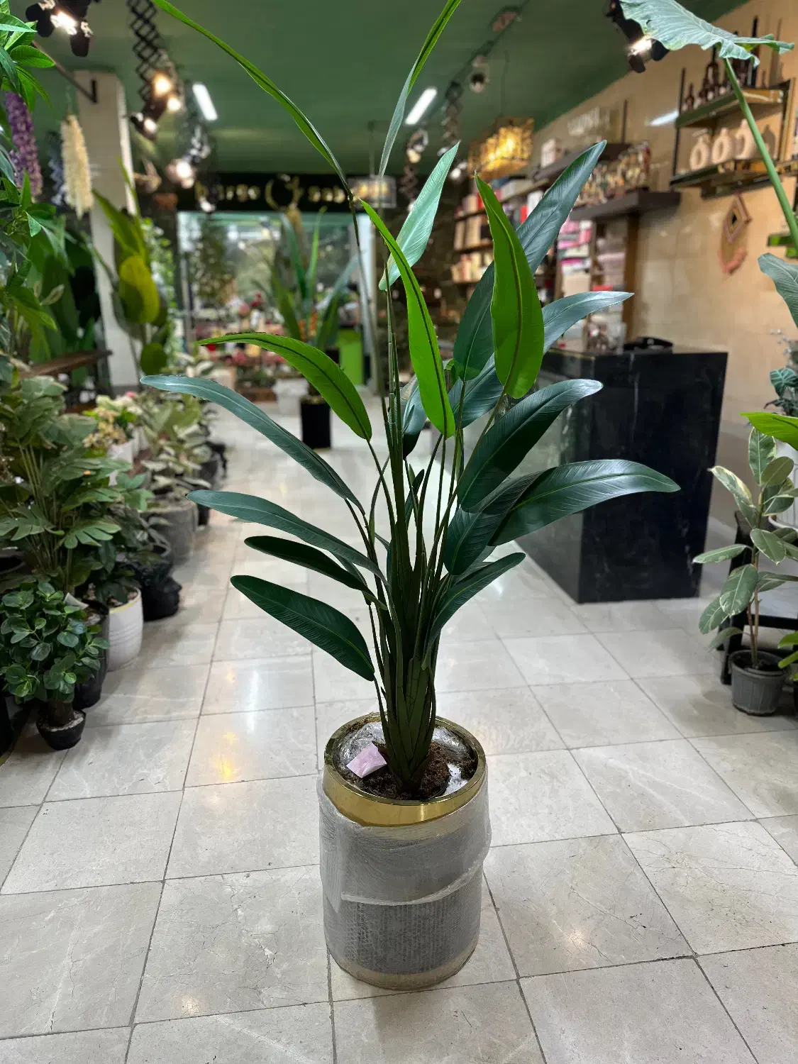 گیاه مصنوعی پرنده بهشتی|گل مصنوعی|نسیمشهر, |دیوار