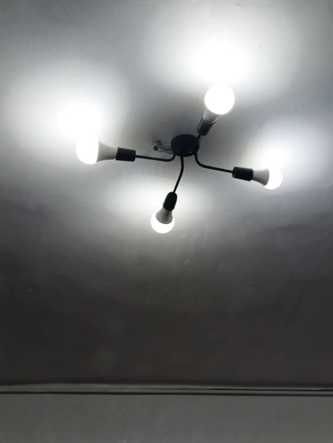 دو عدد لوستر|لوستر و چراغ آویز|بم, |دیوار