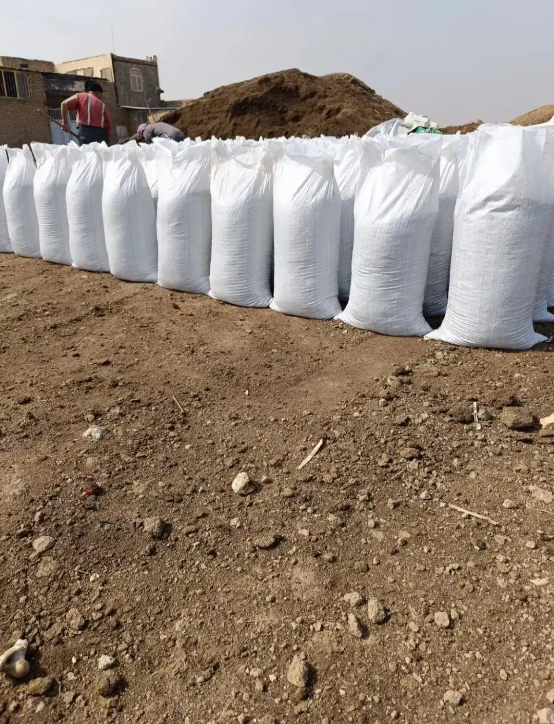 کود حیوانی رایگان|خدمات باغبانی و درختکاری|قم, علی آباد سعدگان|دیوار