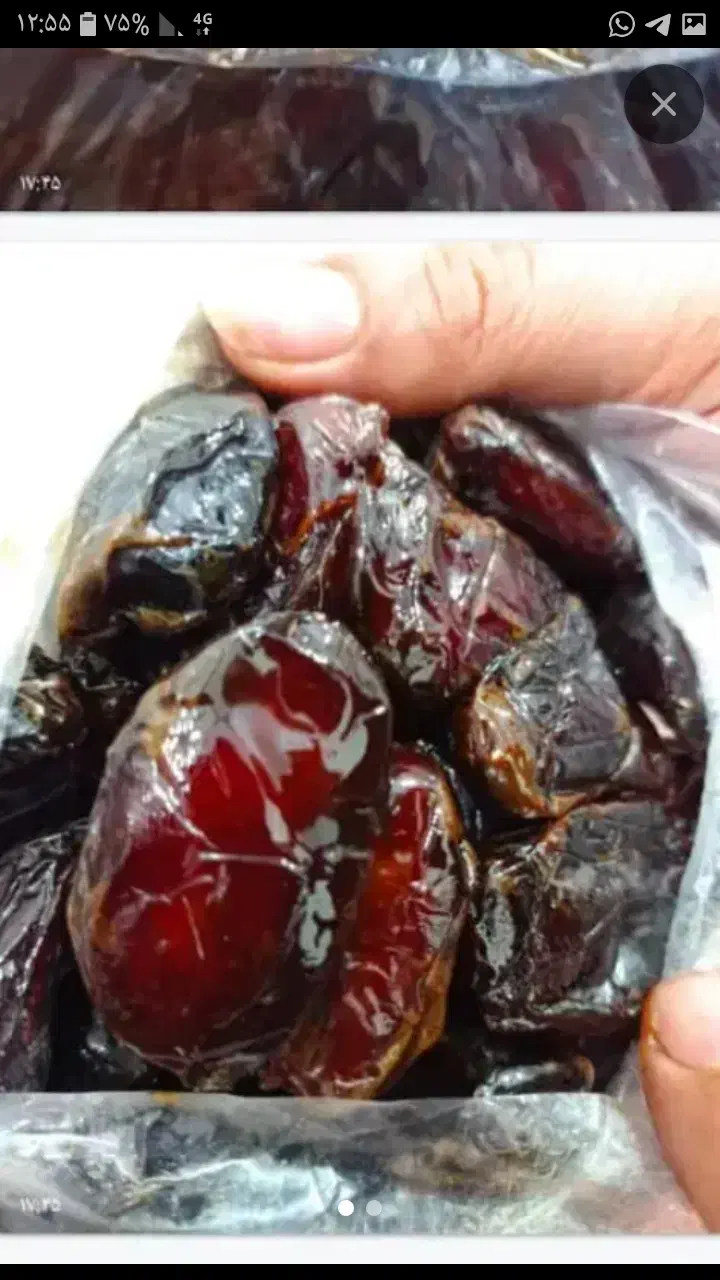 خرمای کبکاب|عمده‌فروشی|بوشهر, |دیوار