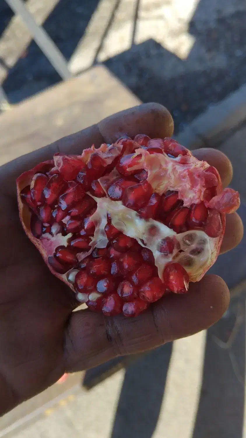 اناردرجه یک.|خوردنی و آشامیدنی|گلپایگان, |دیوار