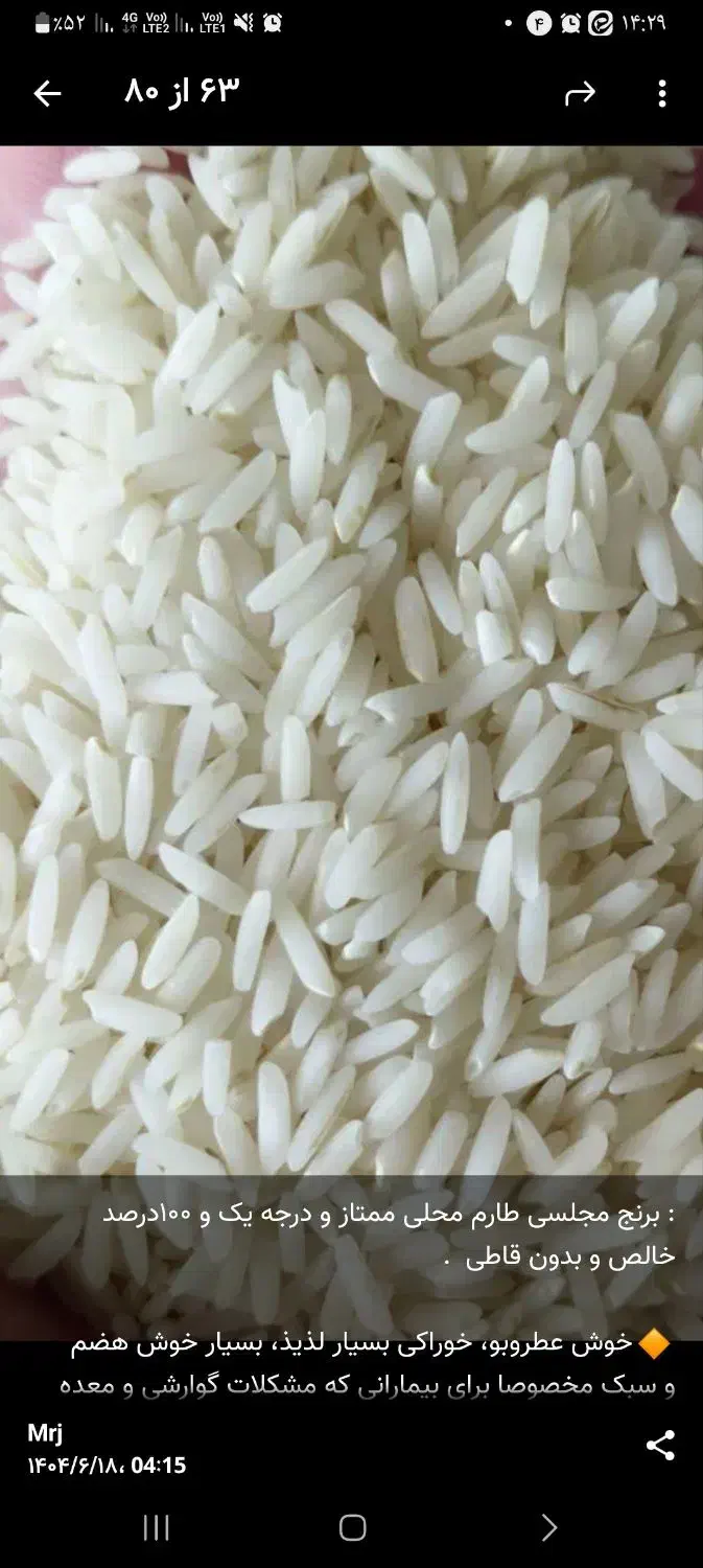 فروش برنج شمال|خوردنی و آشامیدنی|تربت جام, جامی|دیوار