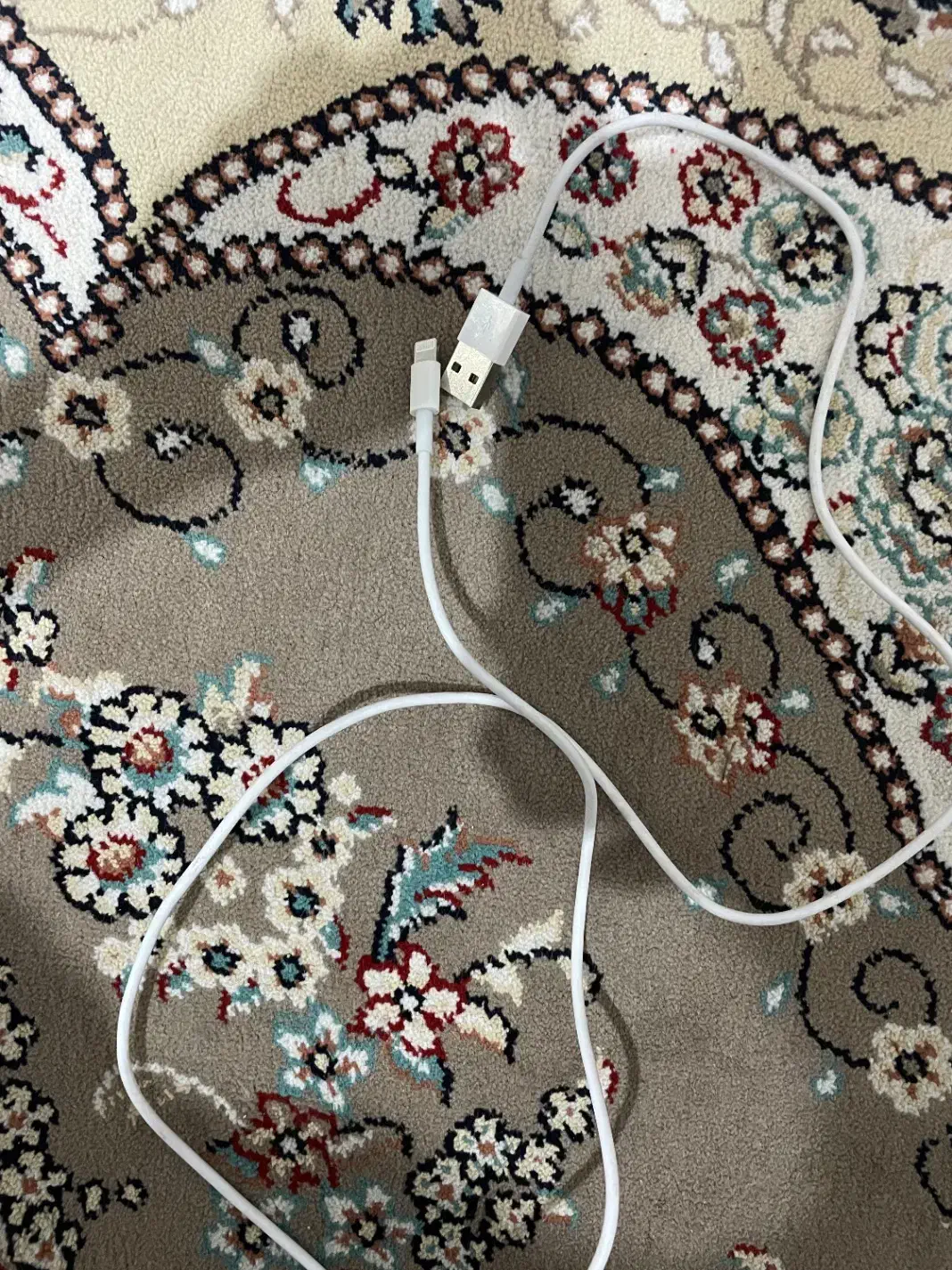 کابل شارژ اپل اصلی|لوازم جانبی موبایل و تبلت|خرمآباد, |دیوار