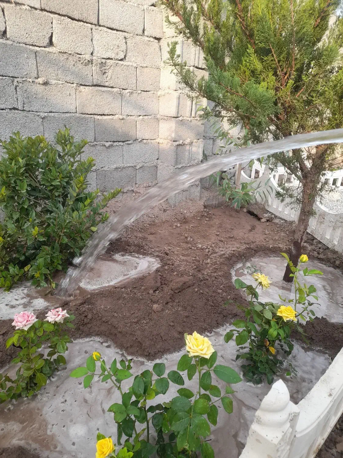 باغ و باغچه ۱۸۳ متری . دارای آب و برق و نگهبانی|فروش زمین و ملک کلنگی|تهران, امیریه|دیوار