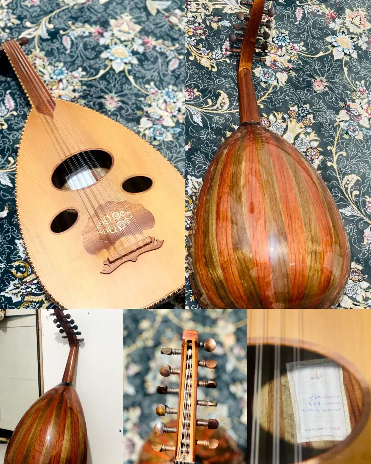 عود زریاب عراقی 1|سازهای سنتی|بندرعباس, |دیوار