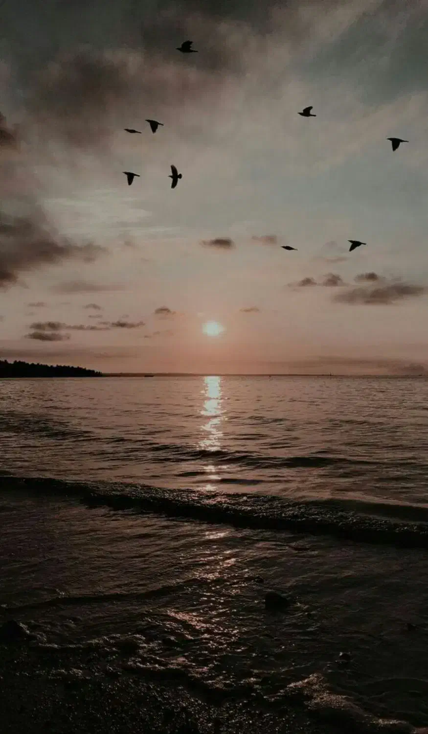 بیکارم و دنبال کار هرکاری باشه|فعالیت داوطلبانه|آشخانه, |دیوار