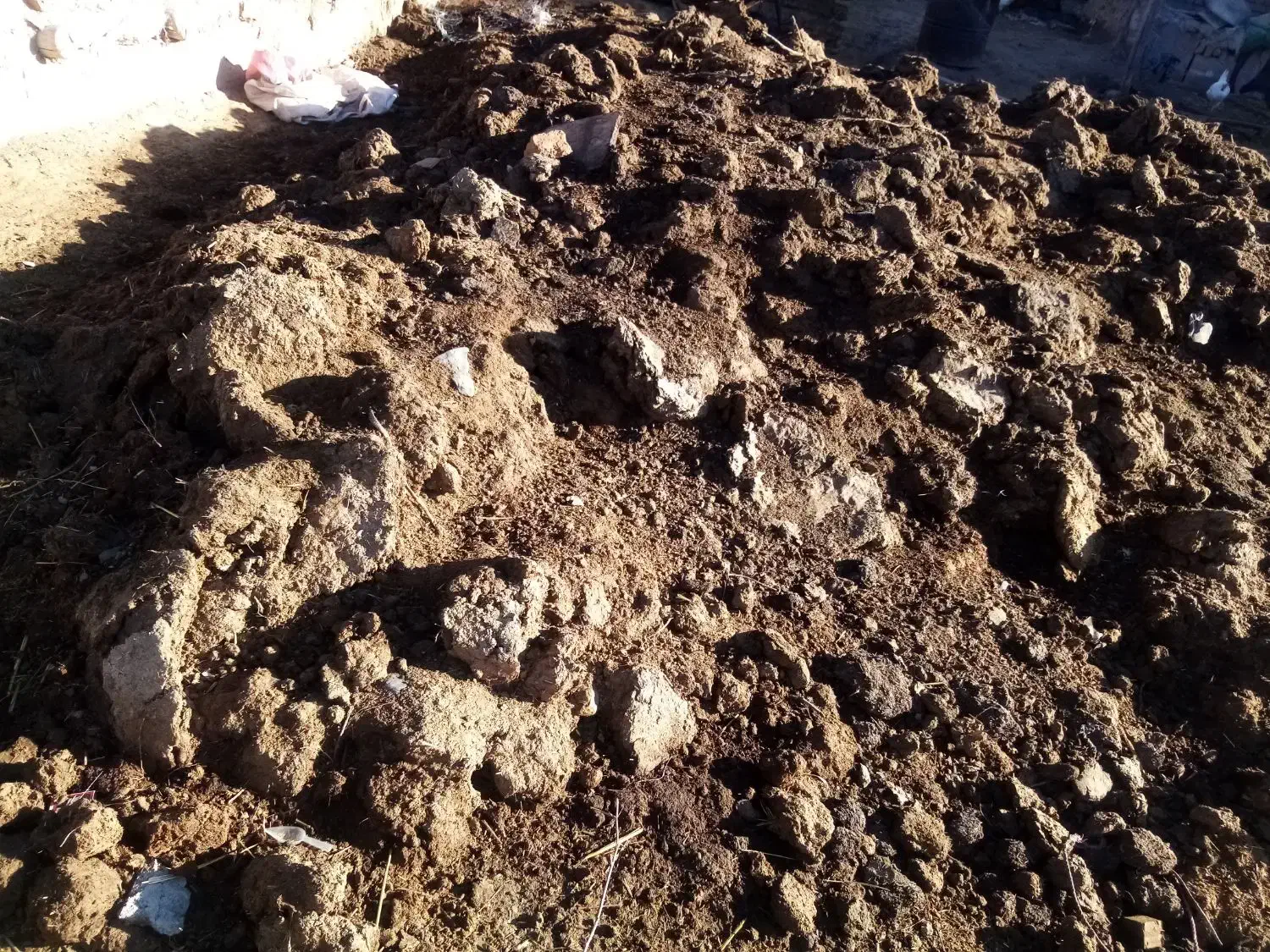 بارگوسفند|لوازم جانبی حیوانات|فیروزه, |دیوار