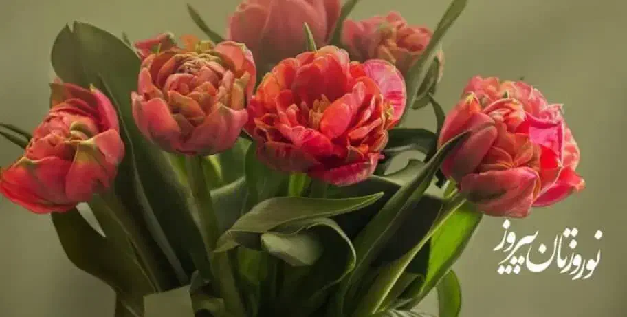 سرویس مدارس در بهاران. شالمان .جام جم. شهرک سعدی|خدمات حمل و نقل|سنندج, |دیوار