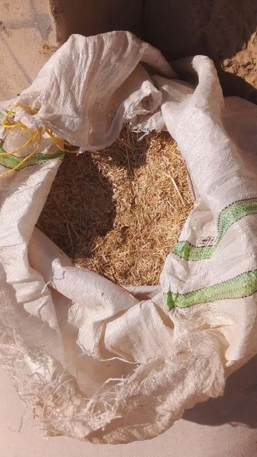 طلایی|جواهرات|زابل, |دیوار