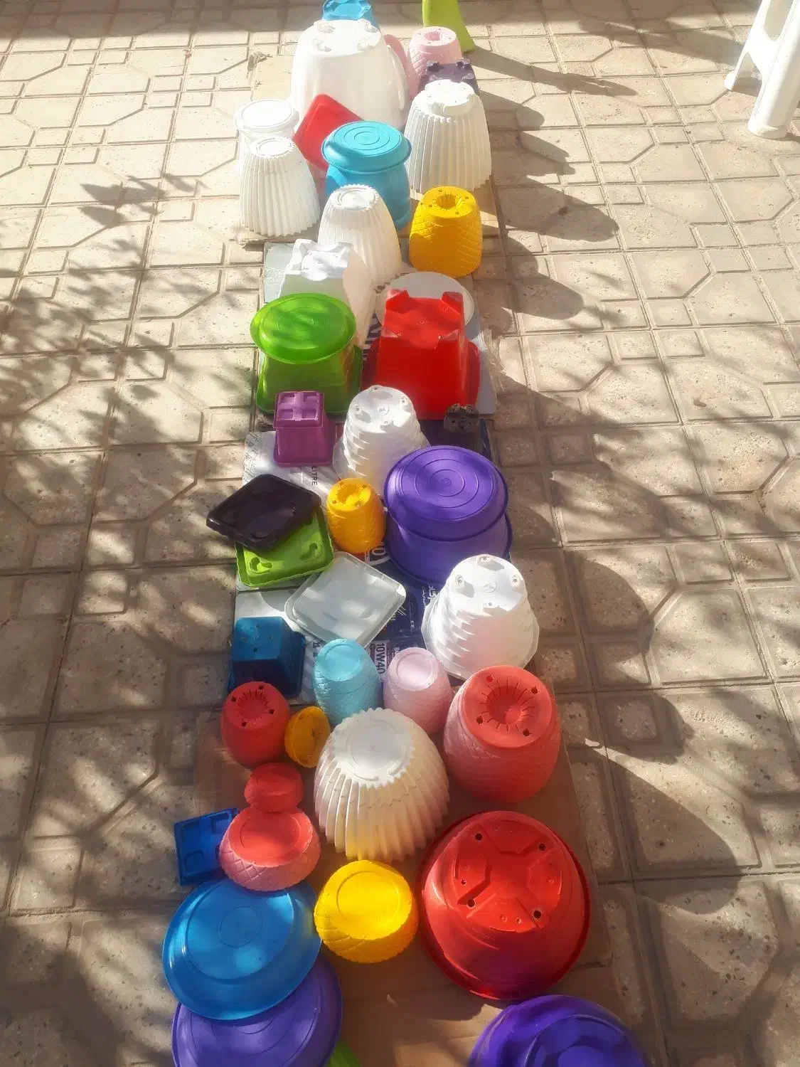 گلدان پلاستیکی وسفالی|گل و گیاه طبیعی|شاهین‌شهر, فردوسی|دیوار