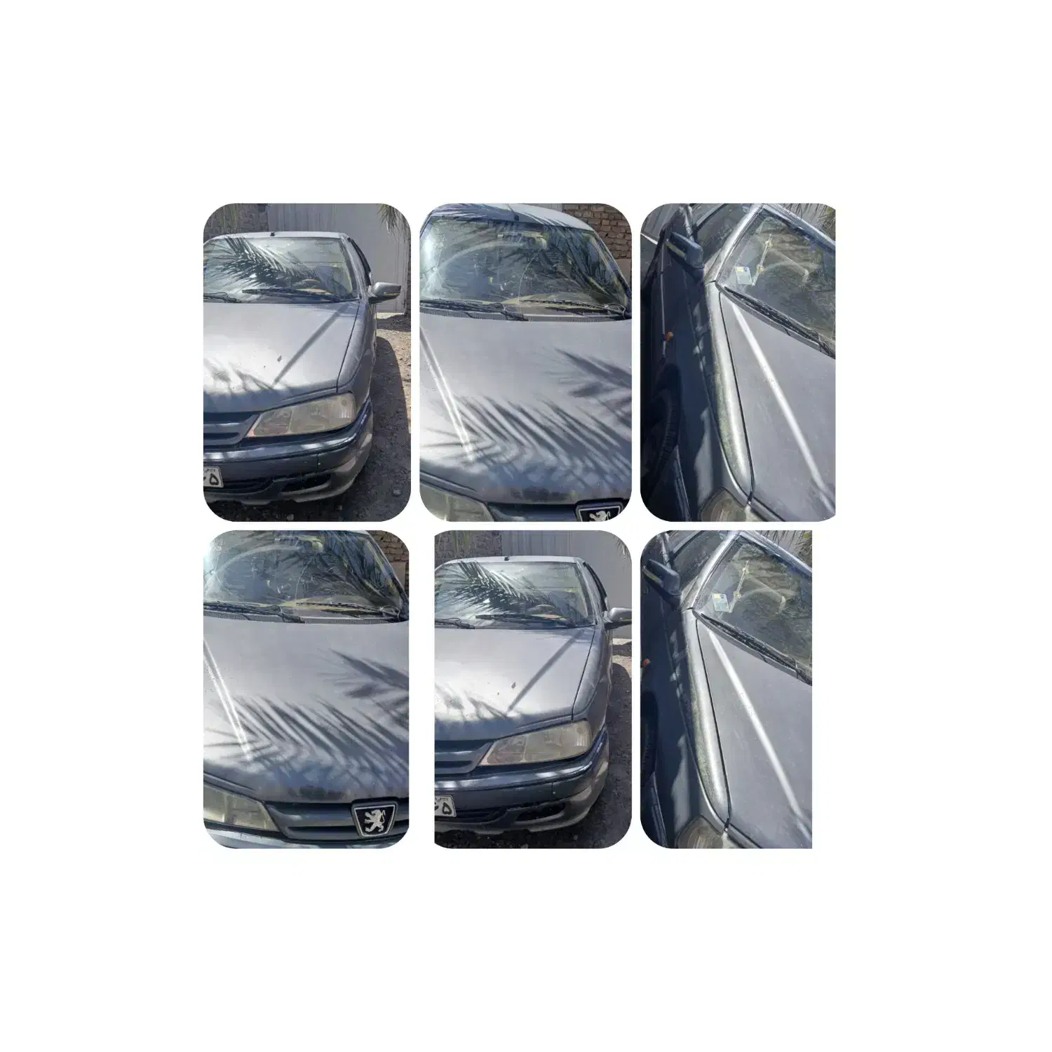 فروش پارس دوگانه|خودرو سواری و وانت|بم, |دیوار