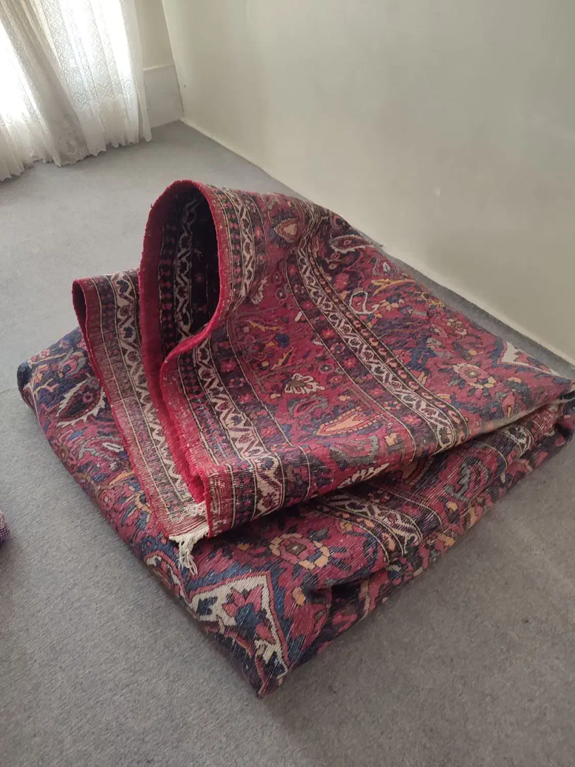 فرش دست بافت ۱۲ متری طرح ترنج|فرش|شهرکرد, |دیوار