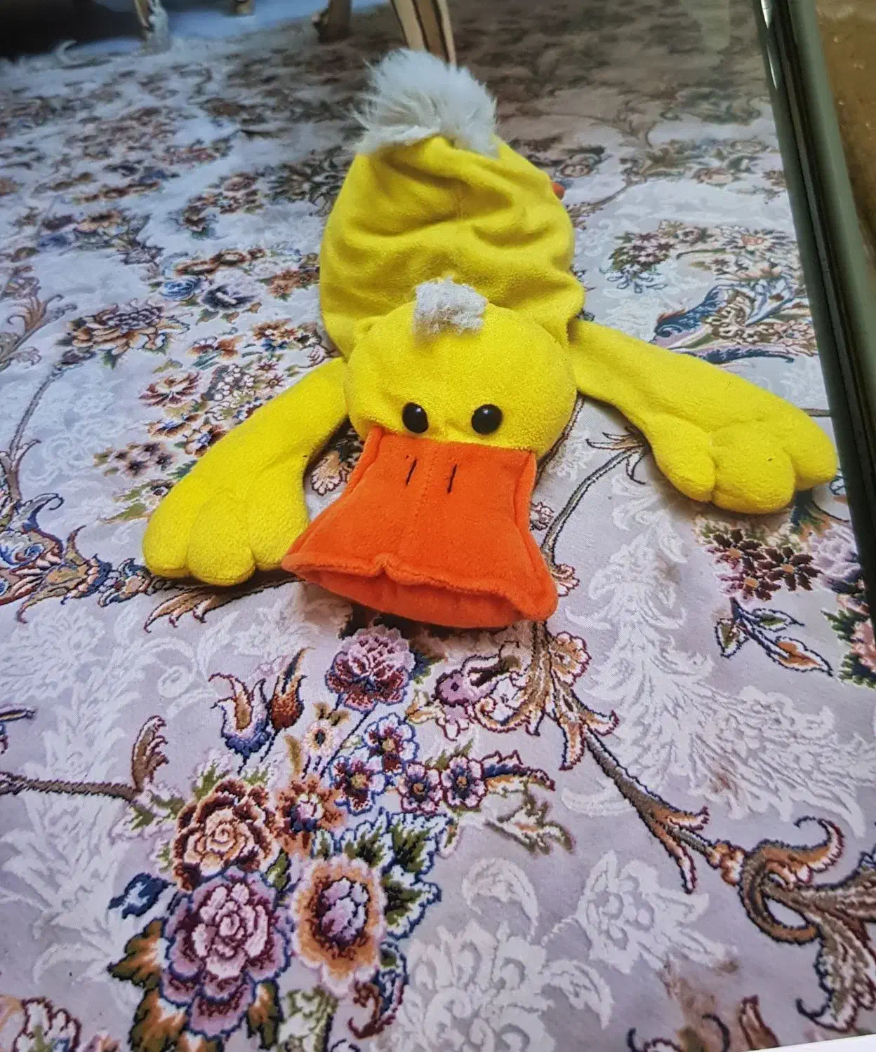 عروسک|اسباب‌‌بازی|تهران, دبستان|دیوار