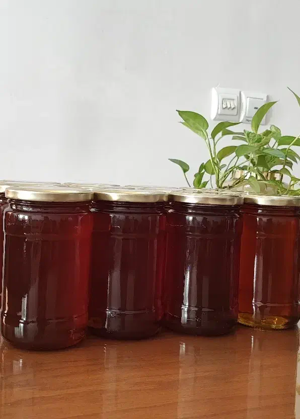 عسل طبیعی طالقان|خوردنی و آشامیدنی|هشتگرد, مدرس|دیوار