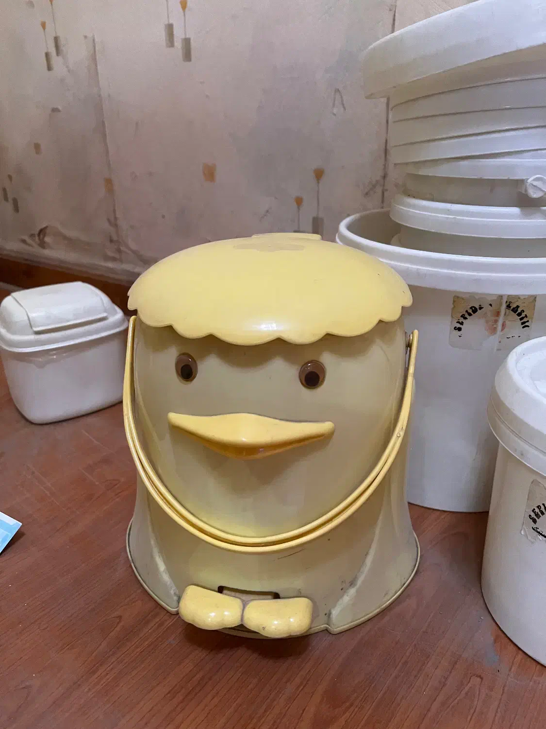 ظروف پلاستیکی|ظروف نگهدارنده، پلاستیکی، یک‌بارمصرف|بجنورد, |دیوار