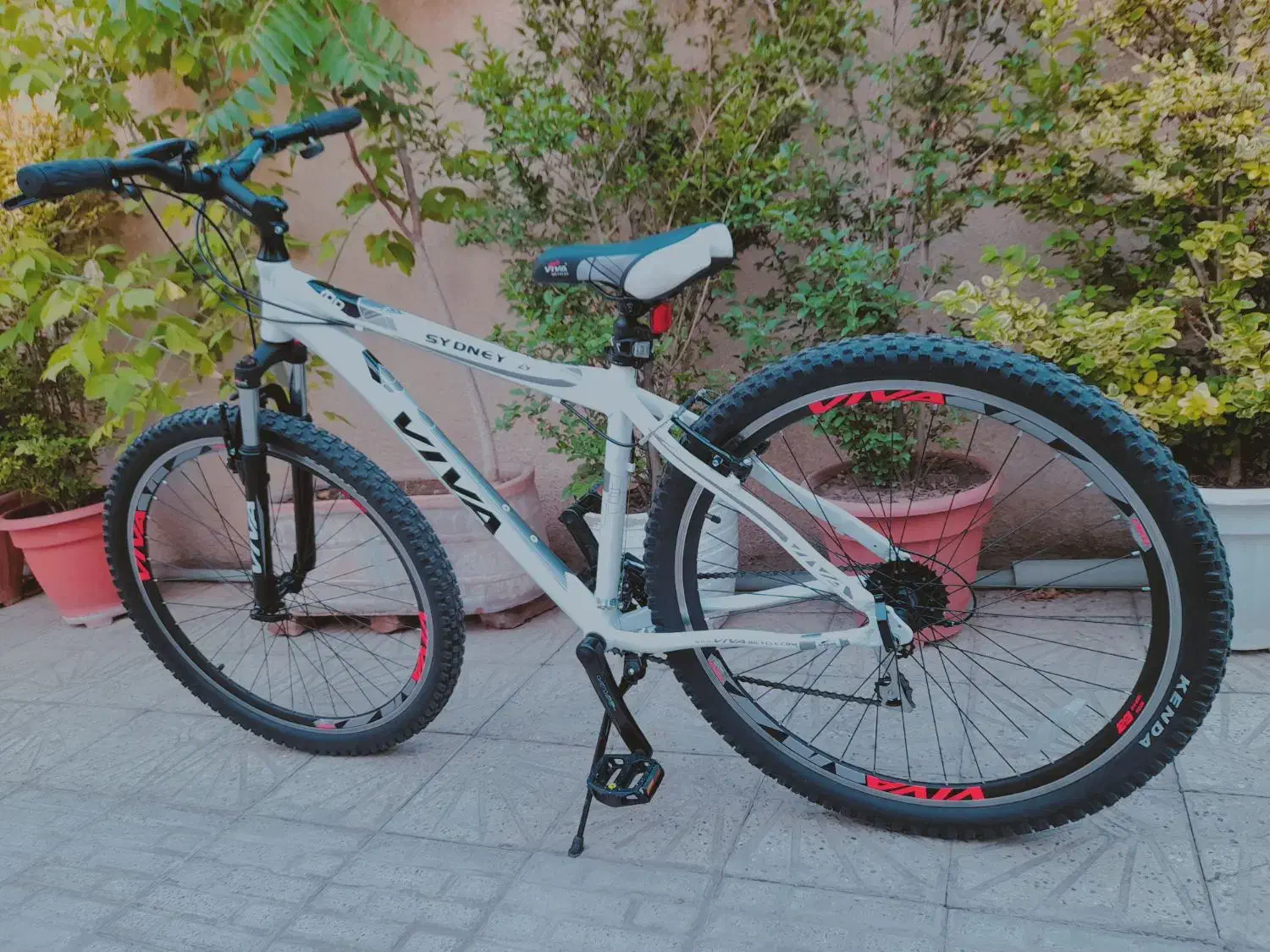 دوچرخه ویوا ۲۹ - در حد نو + باربند|دوچرخه، اسکیت، اسکوتر|فردیس, انبار نفت|دیوار