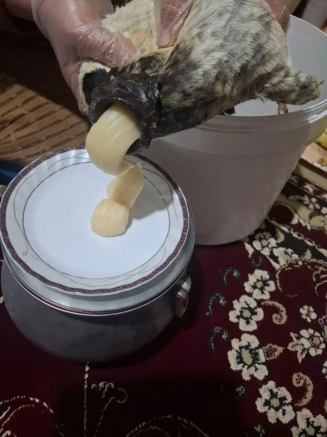 غذایی|خوردنی و آشامیدنی|کوهدشت, |دیوار