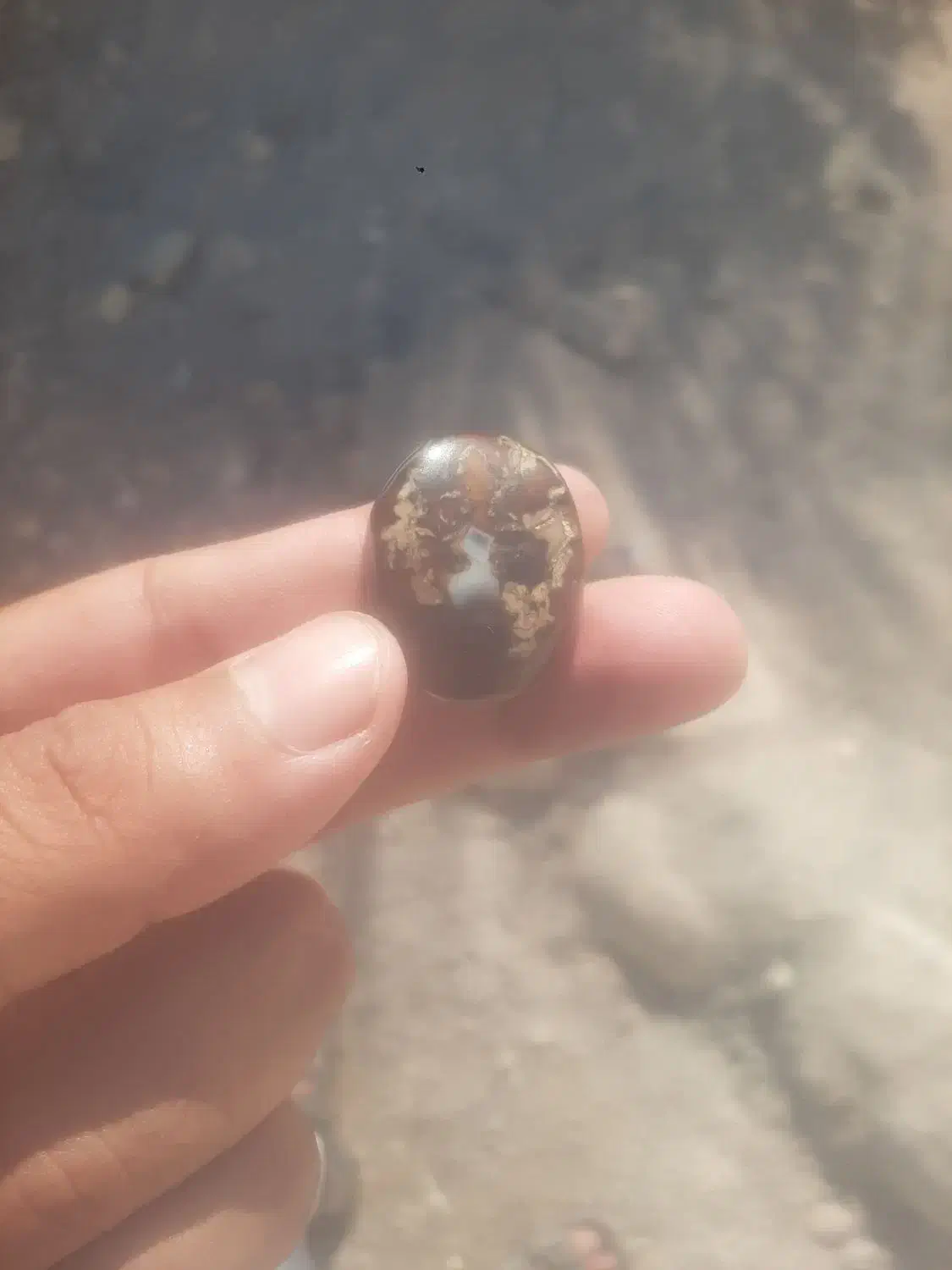 مهره کمیاب|کلکسیون اشیاء عتیقه|حمیدیه, |دیوار