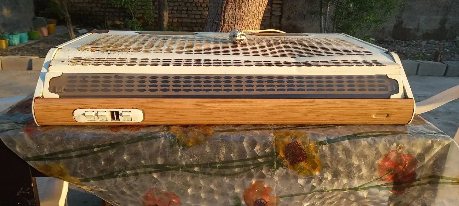 هود|هود|آق قلا, |دیوار