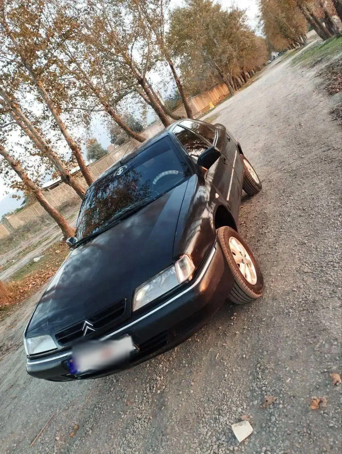 فروش فوری|خودرو سواری و وانت|گرگان, |دیوار