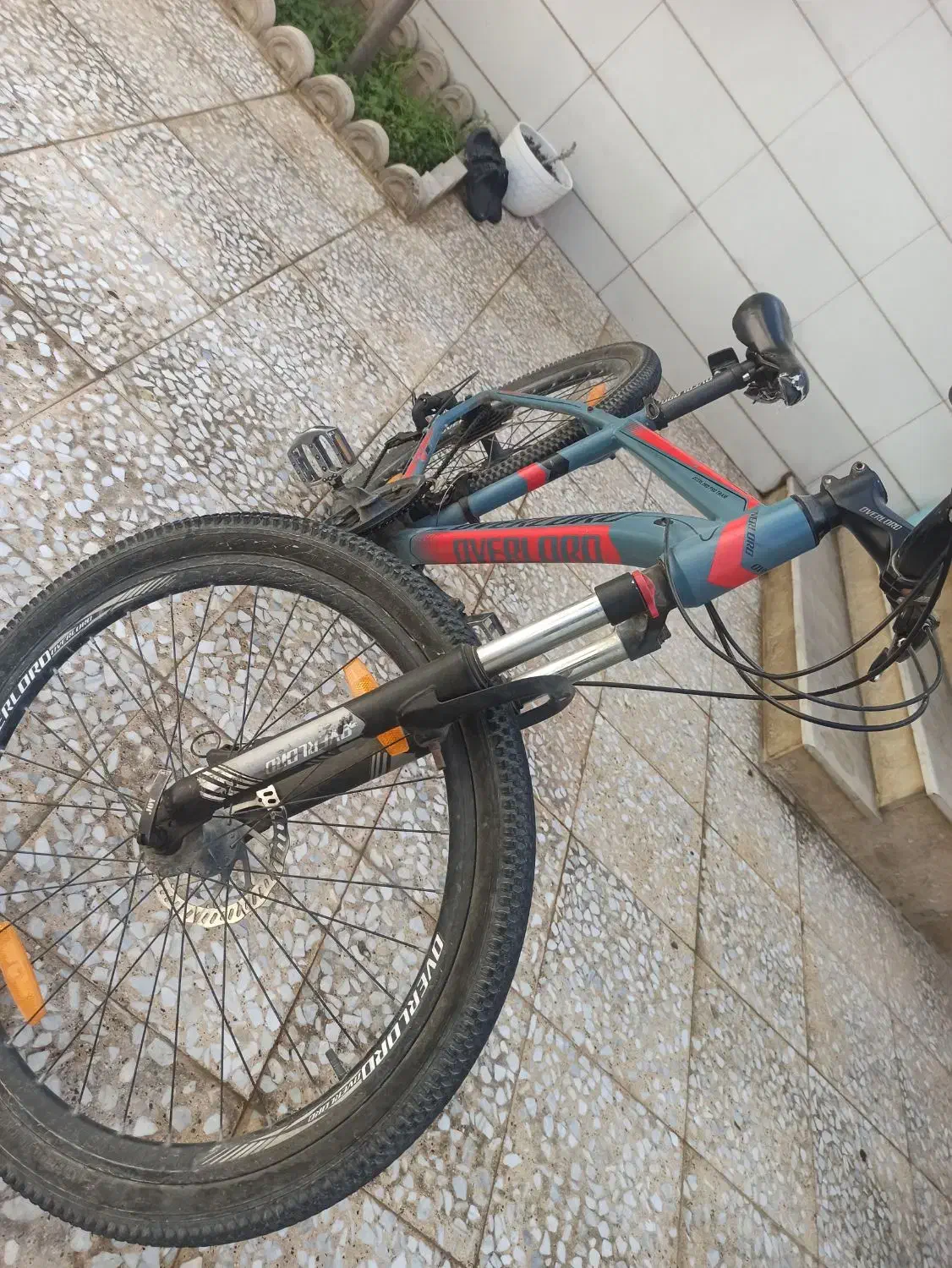 دوچرخه اورلورد|دوچرخه، اسکیت، اسکوتر|گنبد کاووس, |دیوار